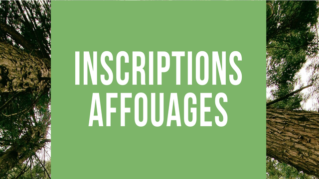   Sources images E.Messager